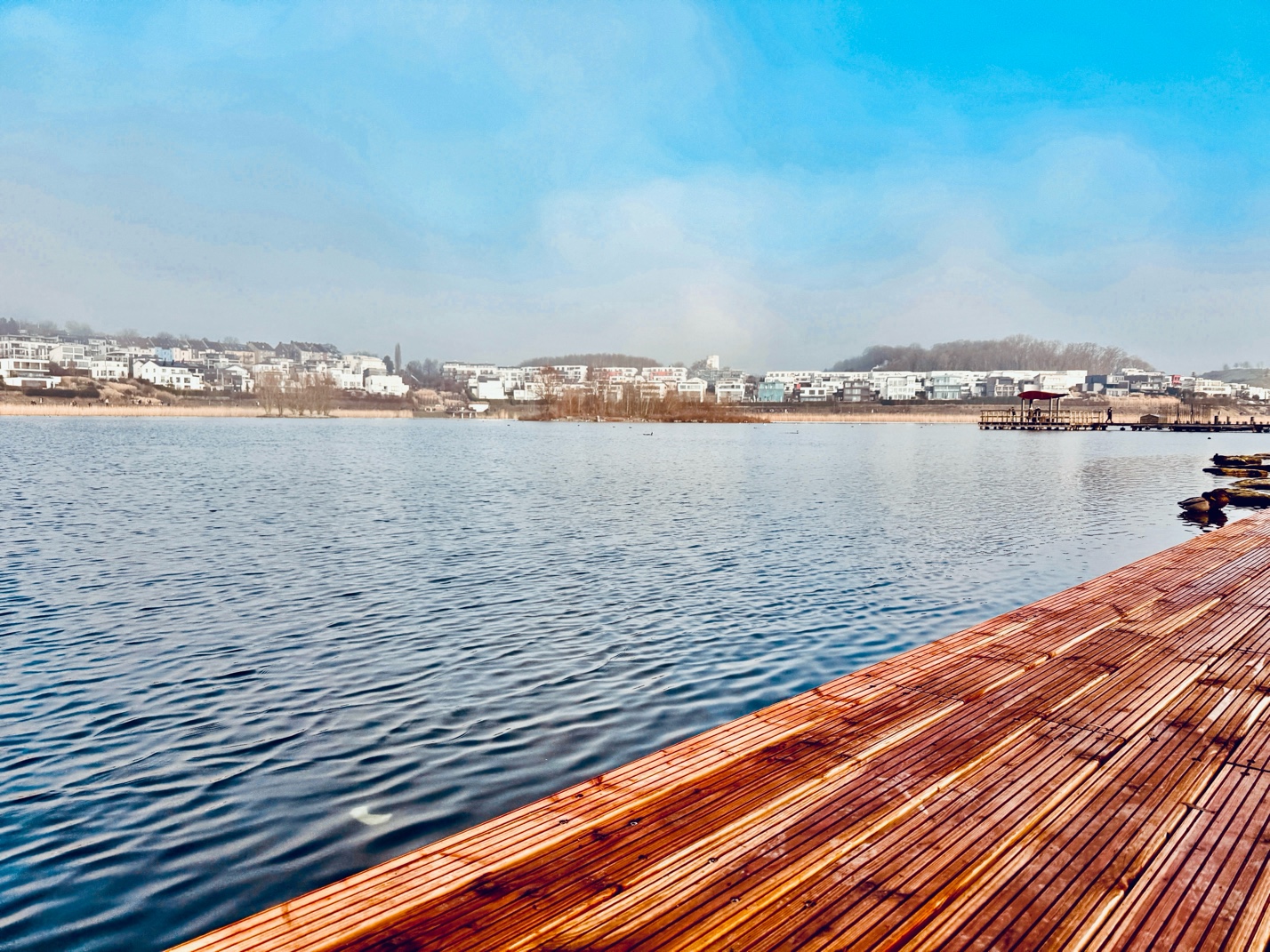 Phönixsee im Januar