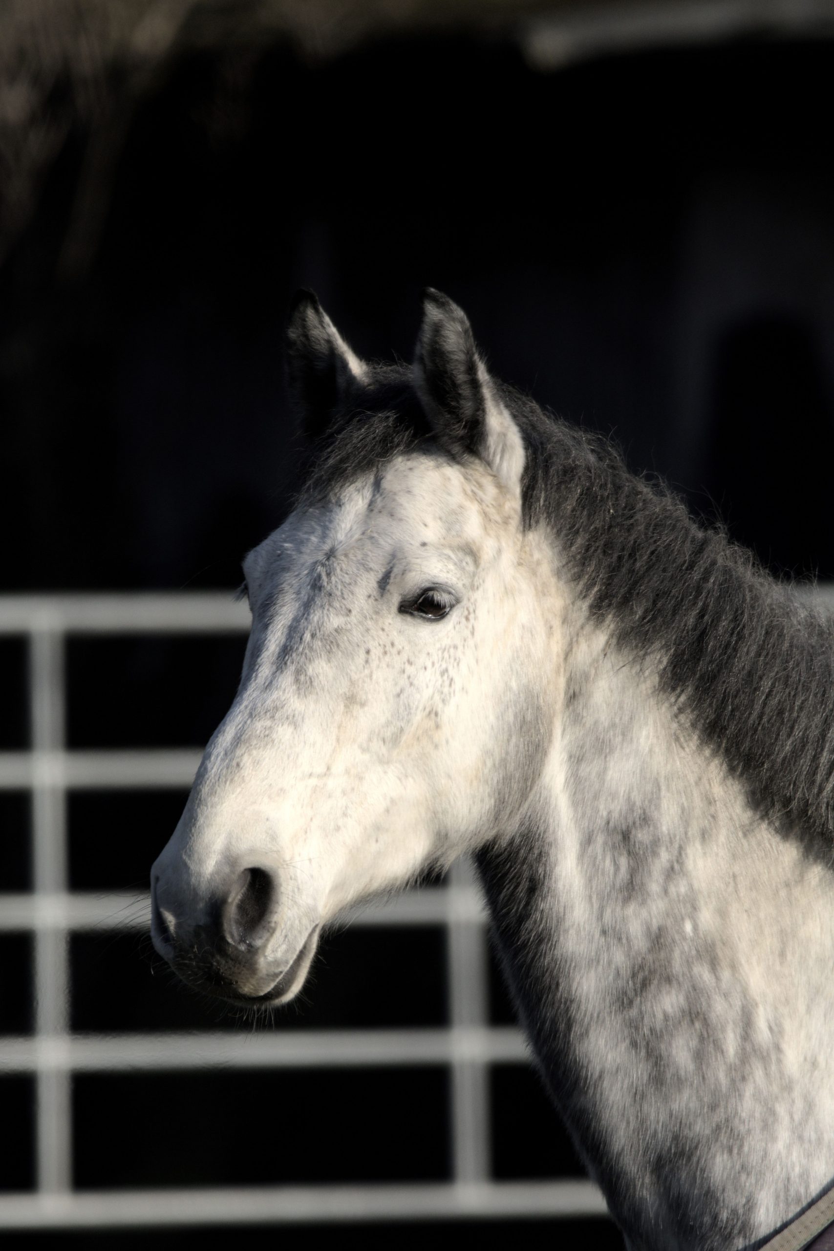 erste Sonnenstrahlen