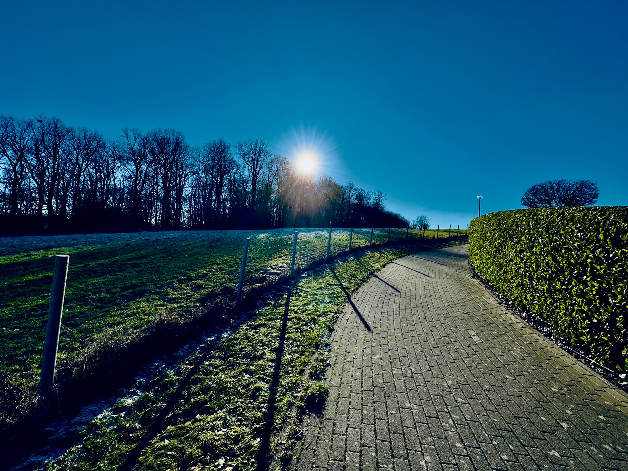 frostig-sonniges Wetter