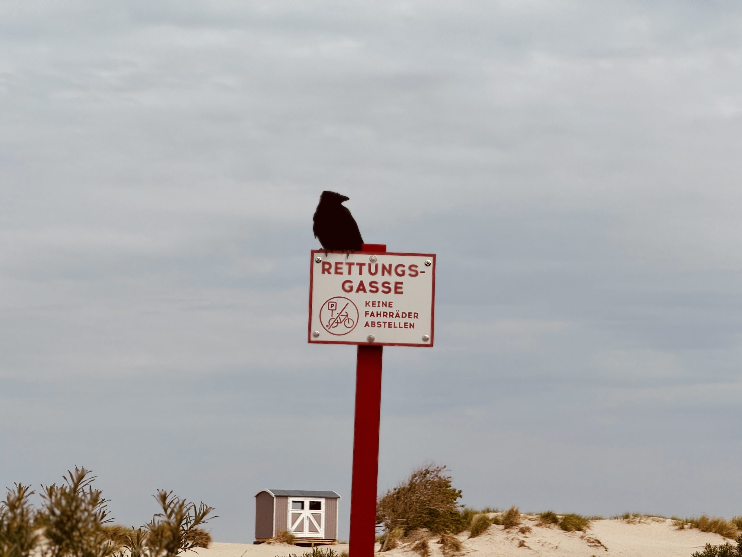 Der Wächter der Rettungsgasse