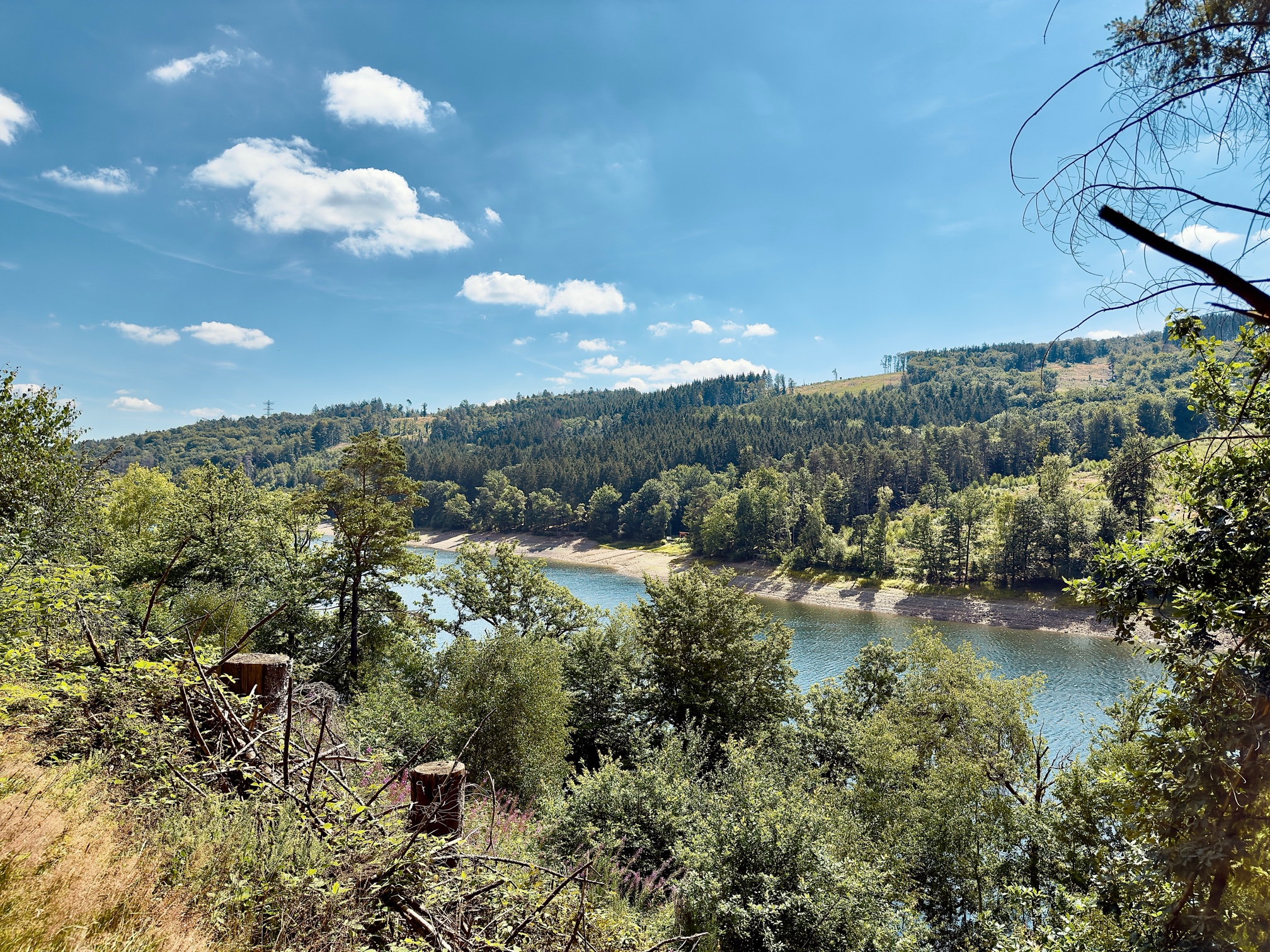 Oestertalsperre im Juli