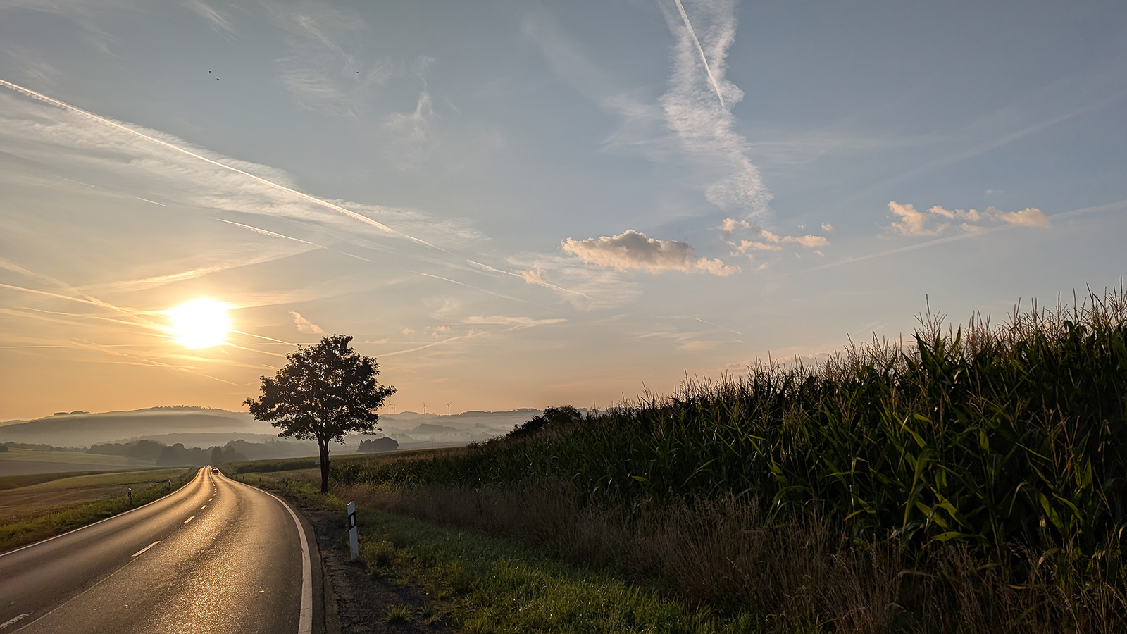 Sommermorgen im Sauerland